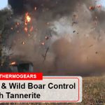 Hog Hunting and Wild Boar Control with Tannerite 14 Hog Hunting Wild Boar Control With Tannerite